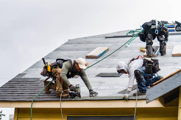 Professional Gutter Installation technician working in Clarksville, VA